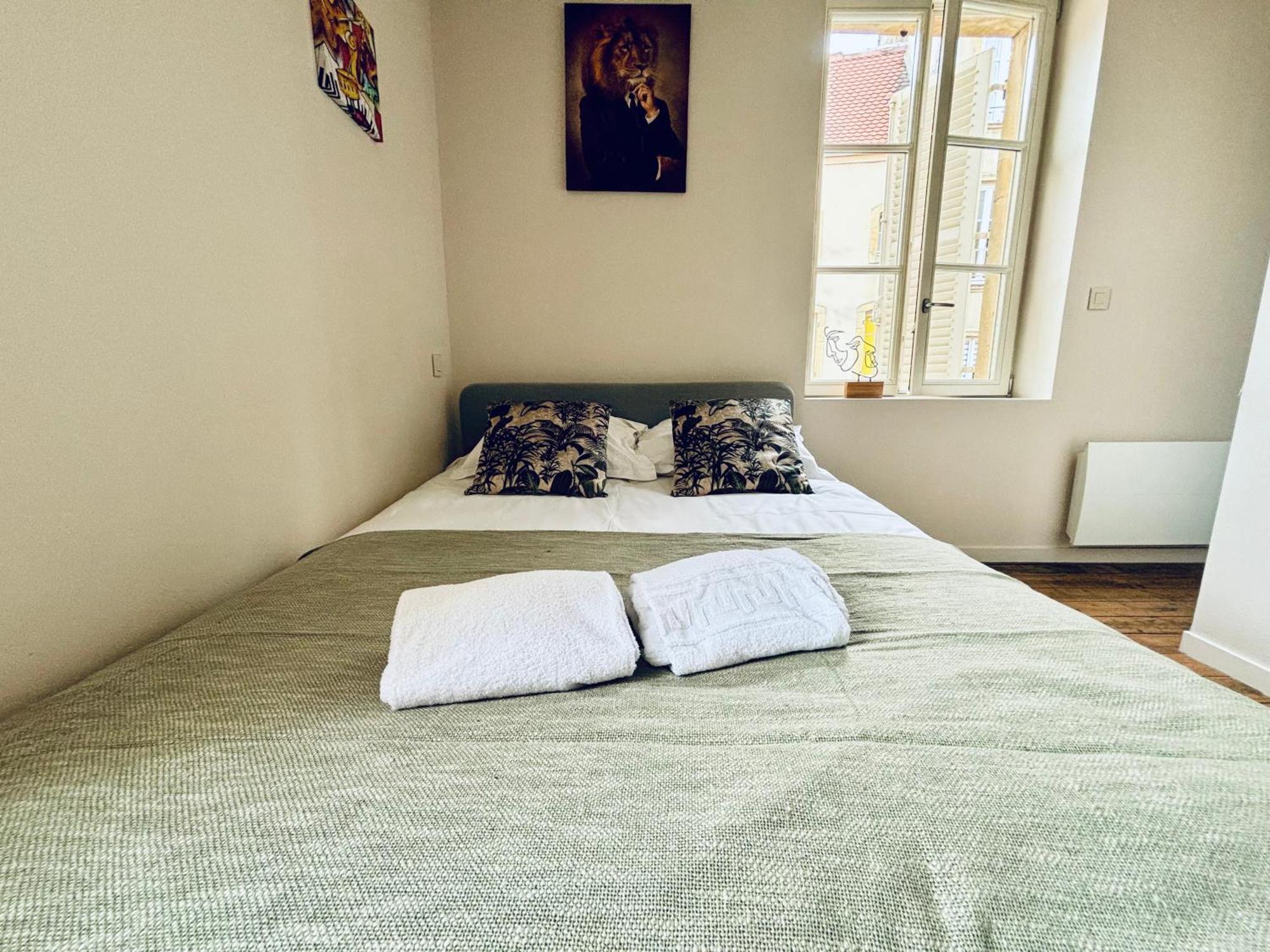 Louis Premier Et Second Metz Centre Un Sejour A Part Apartment ภายนอก รูปภาพ