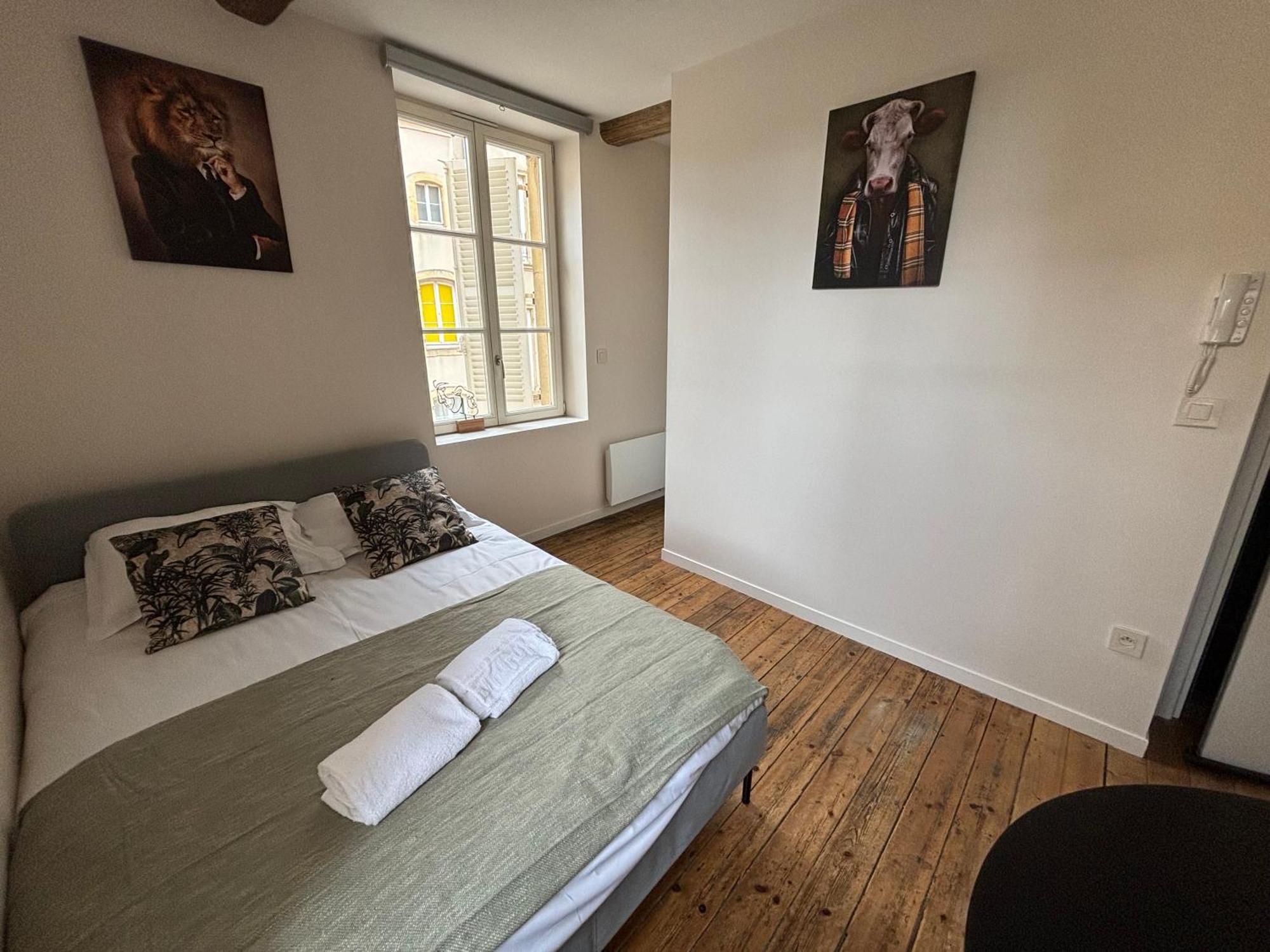 Louis Premier Et Second Metz Centre Un Sejour A Part Apartment ภายนอก รูปภาพ